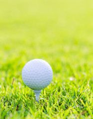 Golf ball on green grass