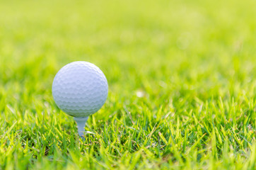Golf ball on green grass