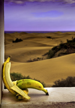 Pl&aacute;tano Canario