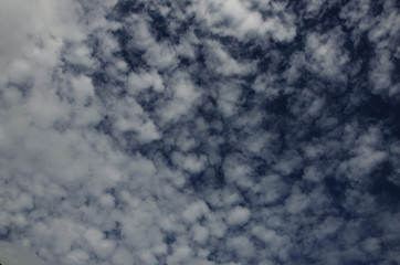 Tiny white cloud and blue sky