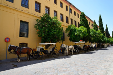 Streets and carriages of the old town of Cordoba.