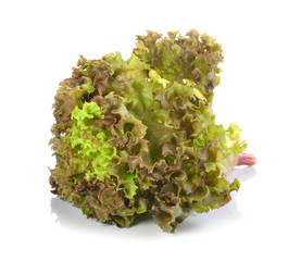 fresh red lettuce leaves isolated on white