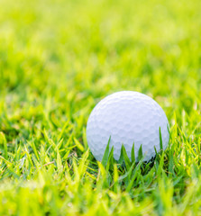 Golf ball on green grass