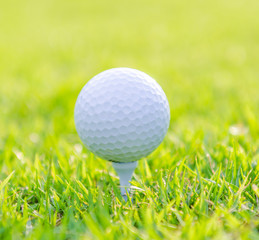 Golf ball on green grass