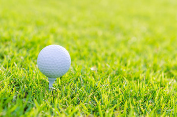 Golf ball on green grass