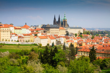 Obraz premium The Cathedral of St Vitus - Czech Republic