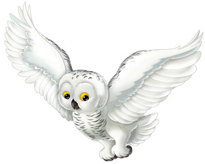 Cartoon animal - arctic owl - illustration for children