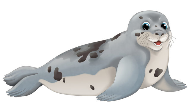 Cartoon animal - seal - illustration for children