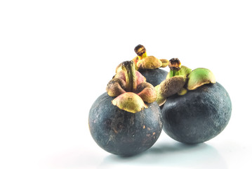 Stock Photo Mangosteens fruit on white background