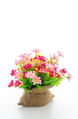 Bouquet flowers isolated on white