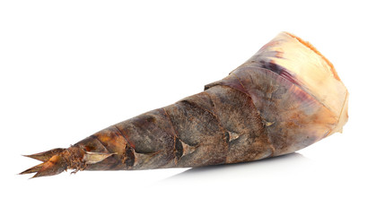 bamboo shoot isolated on white