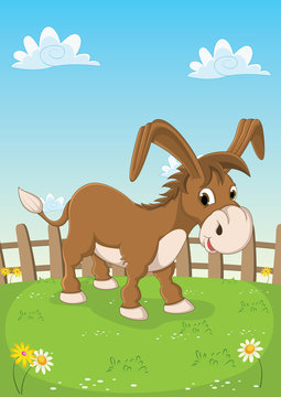 Donkey Vector Illustration