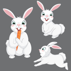 Vector Illustration Of Cute Rabbits