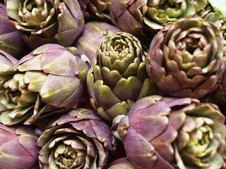 Fototapeta premium Artischocken