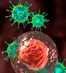 medical illustration  of Embryo cleavage attacked by viruses