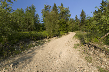 Gorce, górski szlak © Piotr Szpakowski