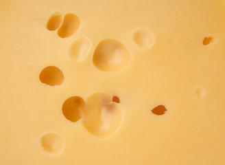cheese background