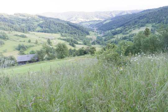 Dolina potoku Jamne, Gorce, Ochotnica, Polska