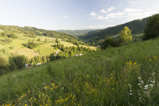 Dolina potoku Jamne, Gorce, Ochotnica, Polska