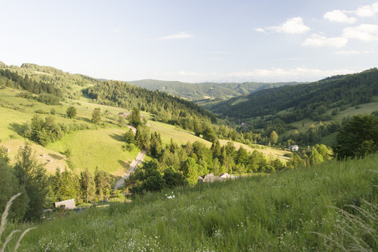 Dolina potoku Jamne, Gorce, Ochotnica, Polska