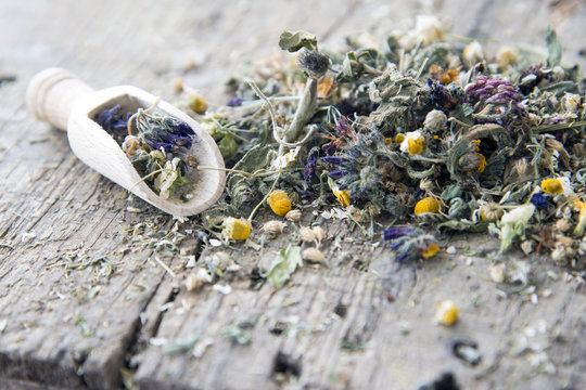 Getrocknete Bl&uuml;ten und Kr&auml;uter