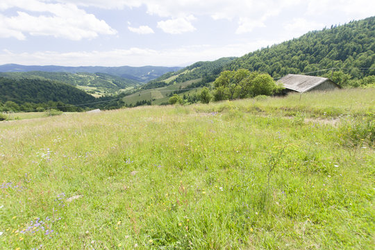 Dolina potoku Jamne, Gorce, Ochotnica, Polska