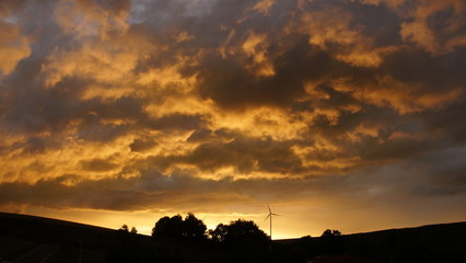 Sonnenuntergang - Himmel - goldig u schwarz © Bardorf Eduard