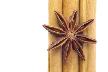 anise and cinnamon isolated on a white