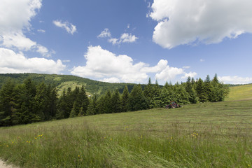 Gorczańskie łąki, Polska © Piotr Szpakowski