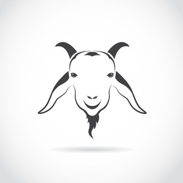 Vector image of an goat head