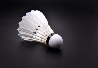 shuttlecock