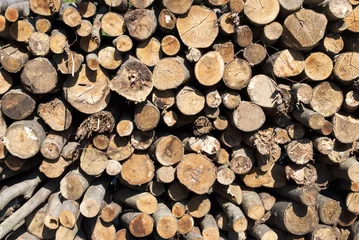 Möbelaufkleber Firewoods © marko