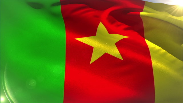 Large cameroon national flag waving