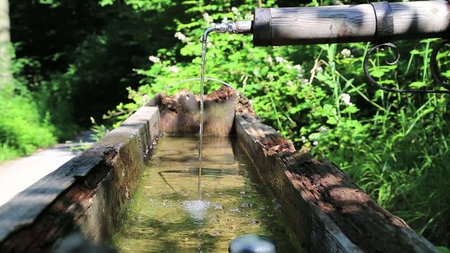 Wasserhahn im Wald
