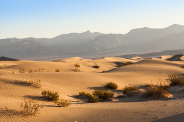 Fototapeta na wymiar Death Valley Desert