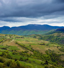 Fototapeta premium Forest and meadow in the mountains.