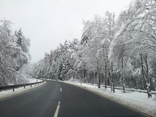 Obraz premium Road in winter