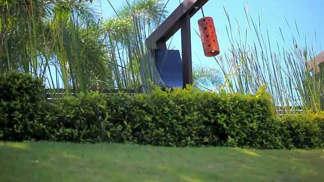 Row of orange Japanese lantern on blue sky, palms
