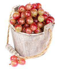 Ripe gooseberry in wooden bucket on white background