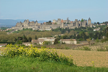 Obraz premium Cité de Carcassonne,Aude