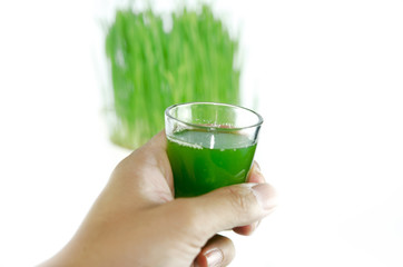Wheat grass
