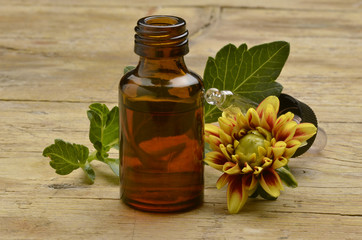 Dahlia أضاليا Dahlien Георгина Dahliasläktet דליה ダリア Dalia