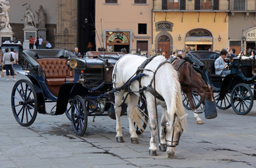Fototapeta na wymiar Pferdekutsche am Piazza della Signoria