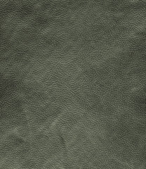 Fototapeta premium green leatherette texture as background