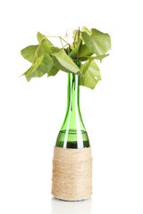 Decorative bottle of wine with grape leaves isolated on white