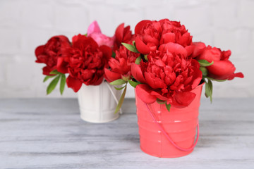 Beautiful pink peonies on grey wall background