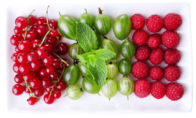 Forest berries on plate, isolated on white