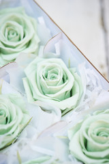roses