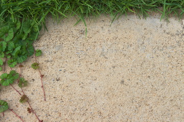 abstract background wall old cement  grass