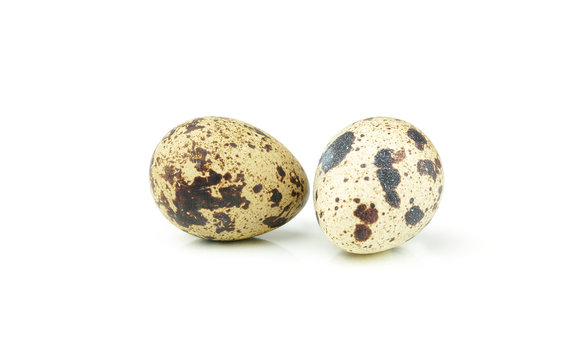 quail egg isolated over white